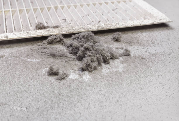 Best Affordable Duct Cleaning Services  in Webster City, IA