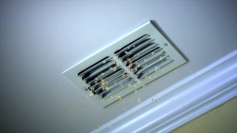  Webster City, IA Airduct Cleaning Pros