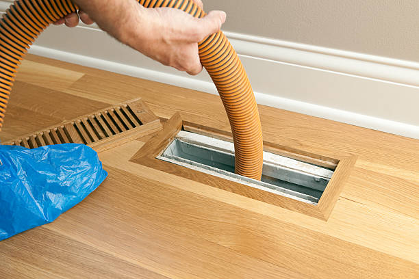 Best Air Vent Cleaning Services  in Webster City, IA