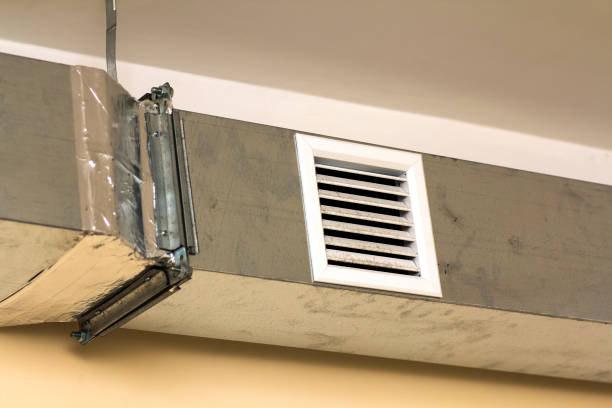 Best Home Air Vent Cleaning  in Webster City, IA